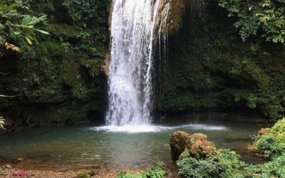 A natural waterfall flowing into a clear pool surrounded by lush green mossy rocks